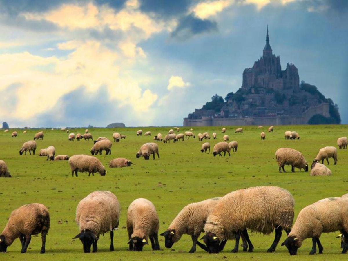 Gite Timeo Mont Saint-Michel بونتورسون المظهر الخارجي الصورة